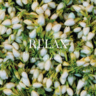 Relax Shower Steamer Body Wild Emery