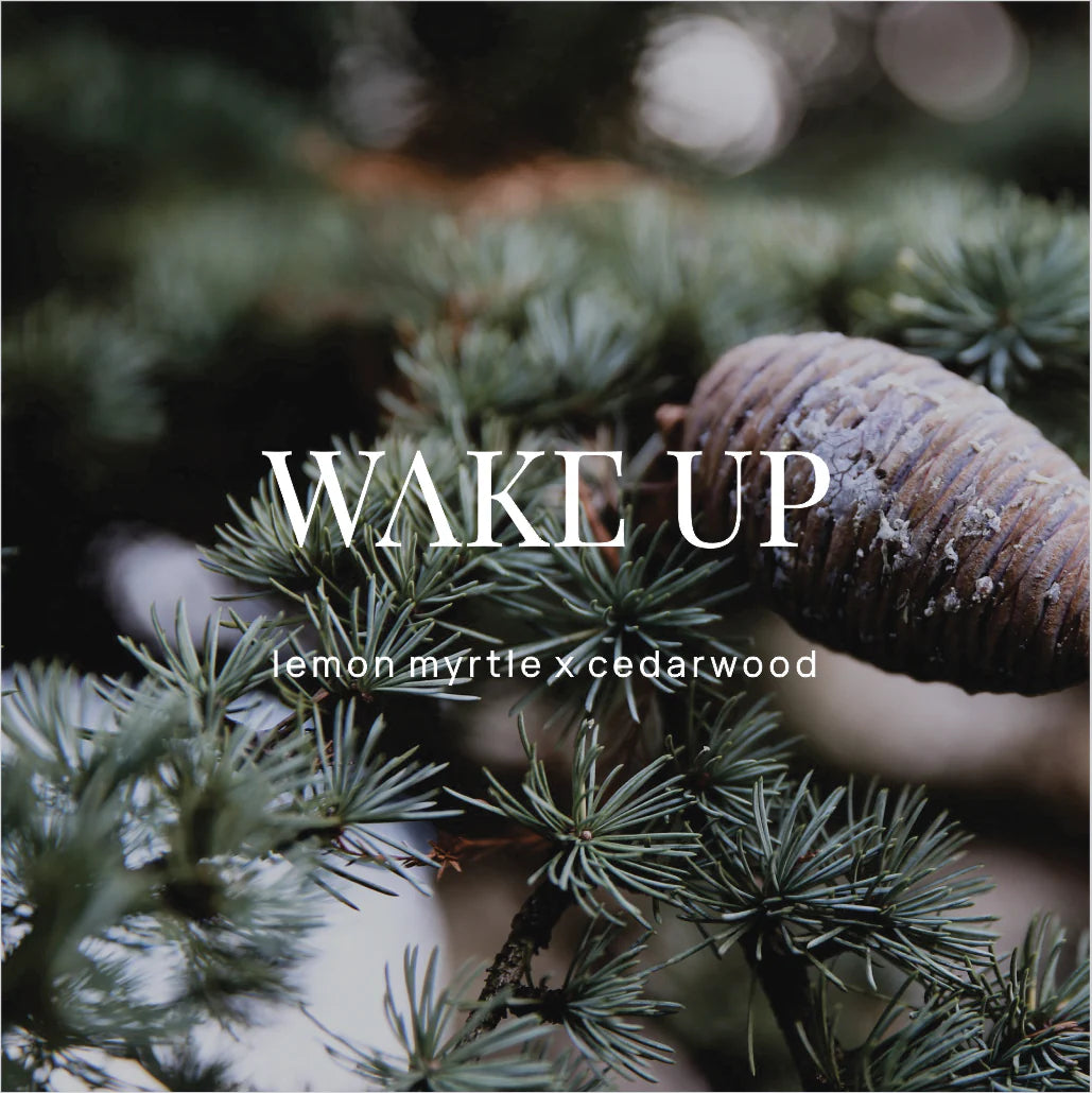 Wake Up Shower Steamer Body Wild Emery