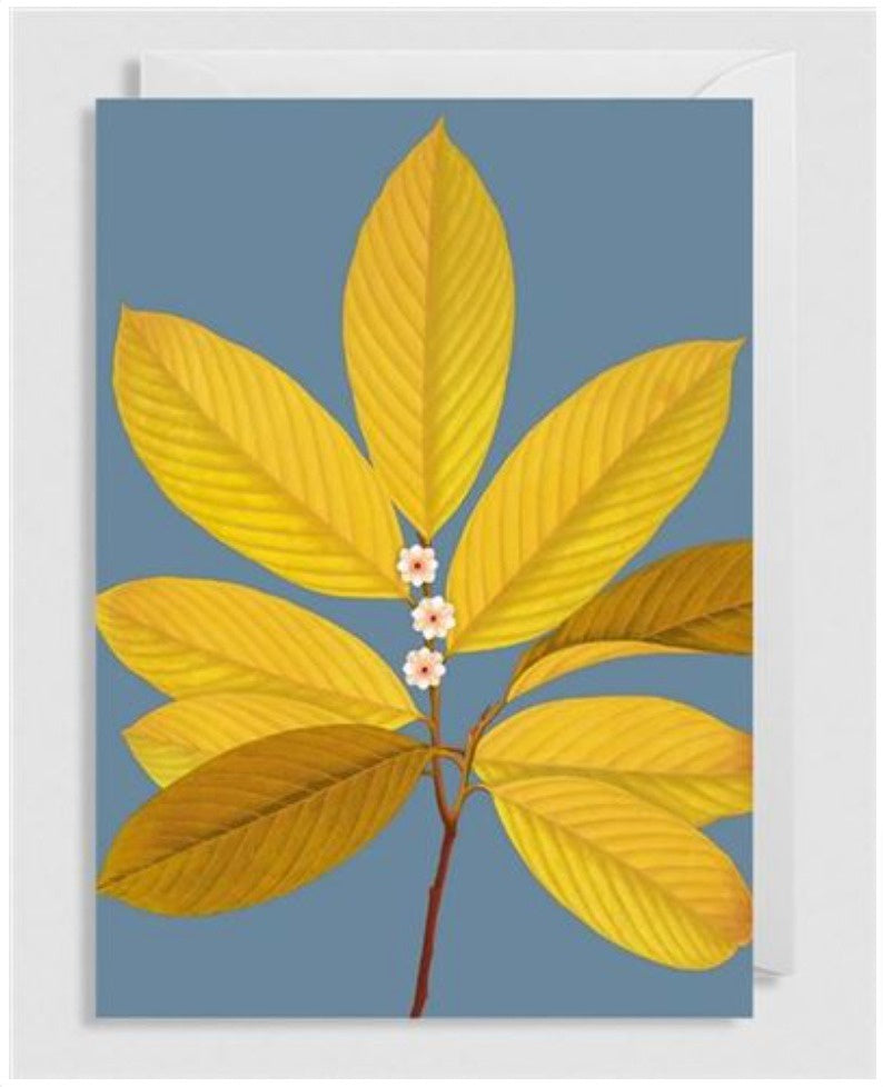 Greeting Card - Silver Burnt Bloom - Global Free Style