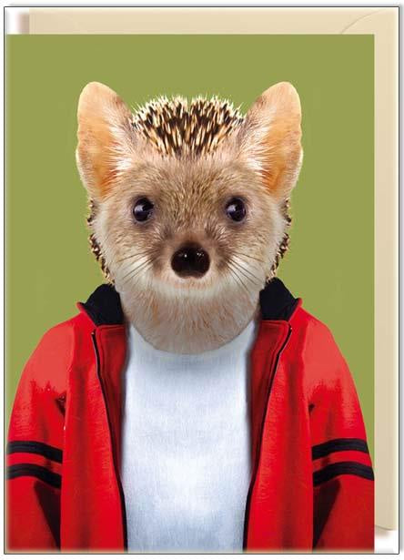 Waterlyn Long Eared Hedgehog Gift Cards - Global Free Style