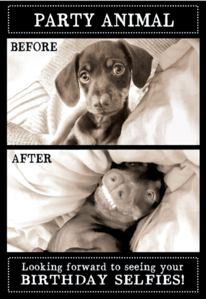 Waterlyn Before After Dog Gift Cards - Global Free Style